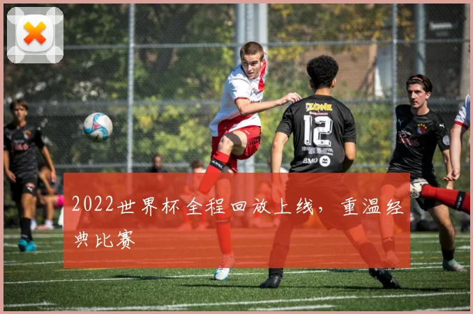 2022世界杯全程回放上线，重温经典比赛